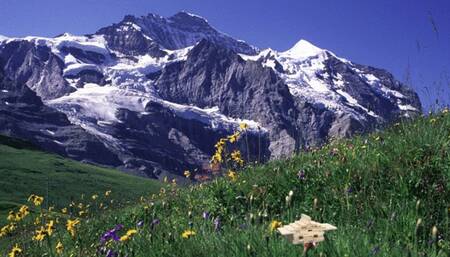 Mean Giantess Attacks Tiny City 1080