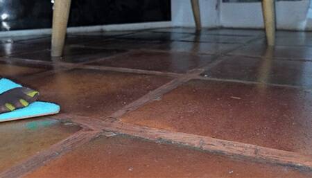 Balbina teasing you with her sexy shiny pantyhose on blue heels