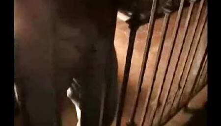 College teens getting fingered at wild college party