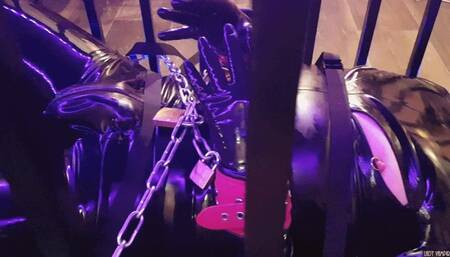 No Chance In Chains 2