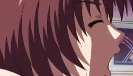 Animation Sex