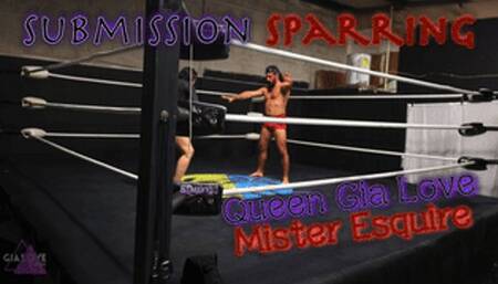 Submission Sparring (MP4 1080P)