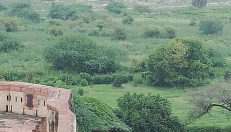 Indian Couple Visit Taj Mahal and Fuck in the Taj View Hotel