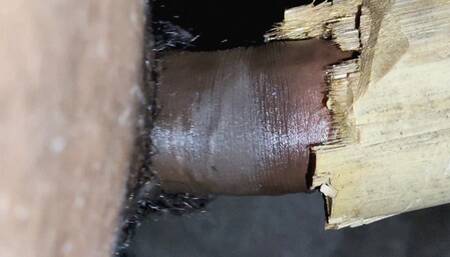 Indian Teen Boy Fucks a Bamboo Hole For enjoyment and Pours lot of cum inside it