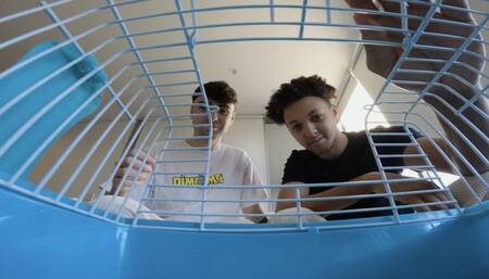 Brandon and Luca - Cage