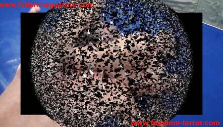 wrestling fetishmegastore