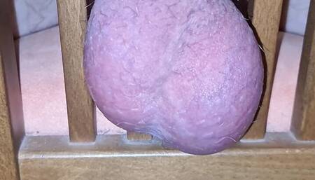 Scrotum and egg games Eggs are pressed well