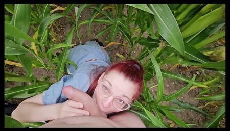 Blowjob and facial in a corn field