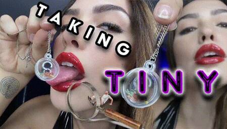 Taking Tiny