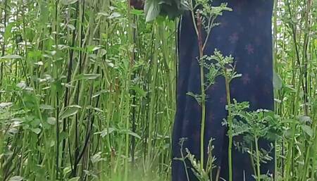 I had sex with my younger sister-in-law in the jungle, full hot pussy fuck sex video