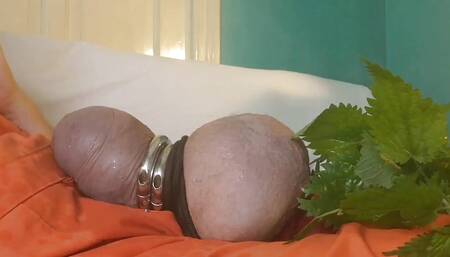 Nettles Are Much Hotter Then Electro Toys