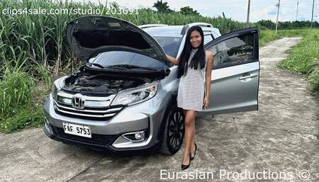 162 - JoyJoy problem with Honda