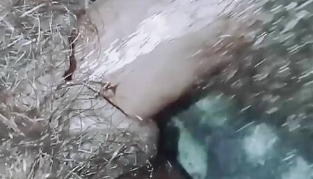 Hot Indian desi bhabhi fucking home video