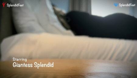 Giantess Splendid - Tiny Jar