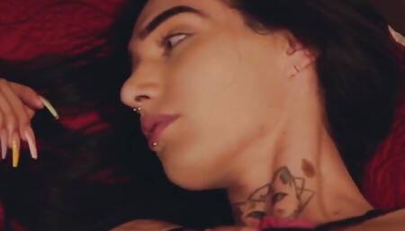 Dark Room Transex