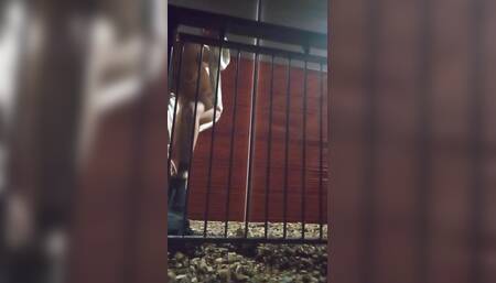 I'm behind bars now