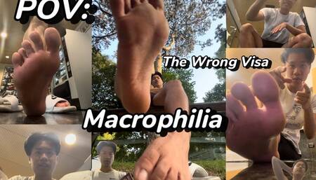 POV MACROPHILIA: The Wrong Visa