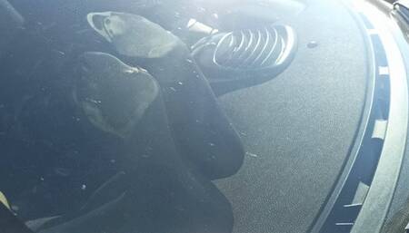 Sweaty Black pantyhose