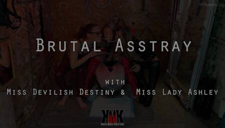 Brutal Asstray with Miss Lady Ashley and Miss Devilish Destiny