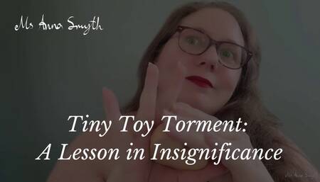Tiny Toy Torment: A Lesson in Insignificance