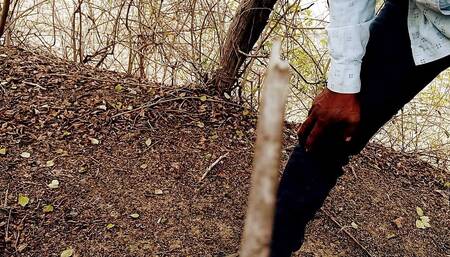 Jungle My Mangal 2