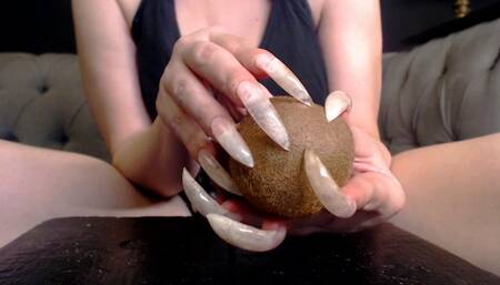 clar kiwi aug 2024