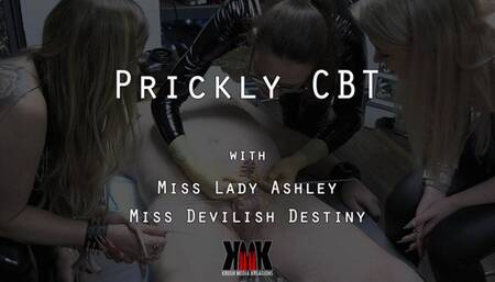 Prickly CBT with Miss Lady Ashlry and Miss Devilish Destiny