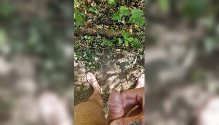 Me pissing naked in the forrest with my uncut cock