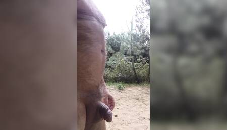 Slave4udom Pee in the Beach-wood