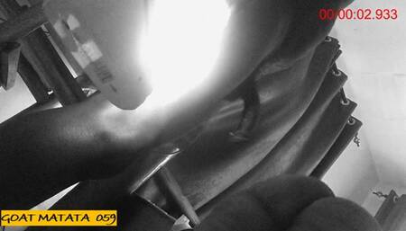 GOAT MATATA 059