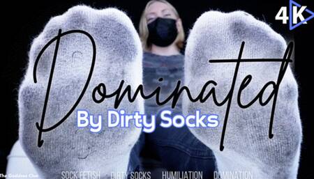 Dominated by Dirty Socks - 4K - The Goddess Clue, Sock Fetish, Foot Domination, Extreme Humiliation and Foot Slave Training