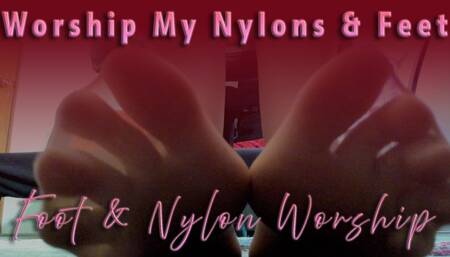 Worship My Nylons And Feet