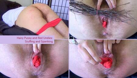 Hairy Pussy and Red Undies : Stuffing and Spanking