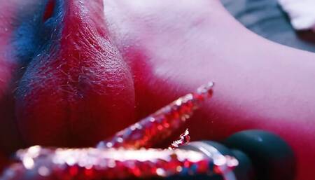 Wild Wolf Is Testing You. Try Not to Cum - Mollyredwolf