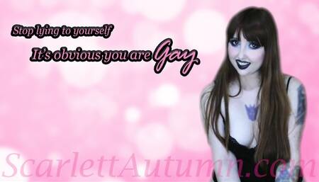 It's obvious you are gay - MP4 HD 1080p