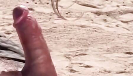 Stunning Hitchhiker Naomi Russell Gets Her Perfect Tushy Railed in the Middle of the Desert