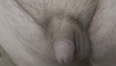 playing with my cock and fat pad
