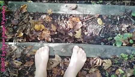 Little Nylon Forest Walk