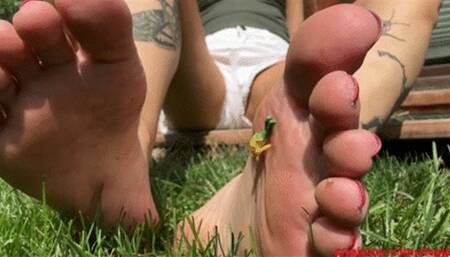 He stimulated her gastric juices wmv