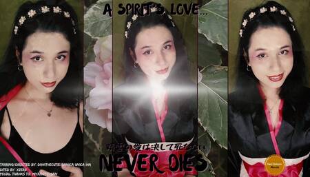 Beautiful tranny geisha DaniTheCutie is fucked doggystyle pov in a vivid dream