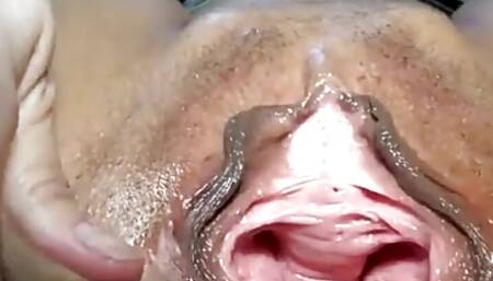 Sex Instruction of Pussy