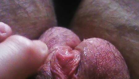 FTM cock,FTM dick,FTM polla,chocho,conchs