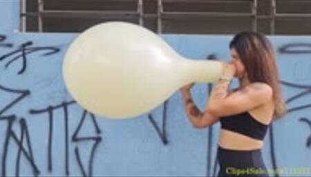 Maya B2P a Pastel SR 16"