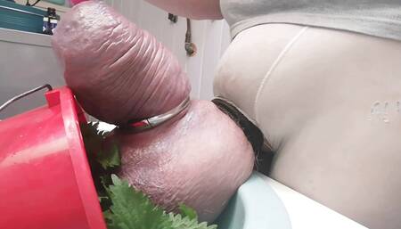Cuming with Nettles and Thootbrush