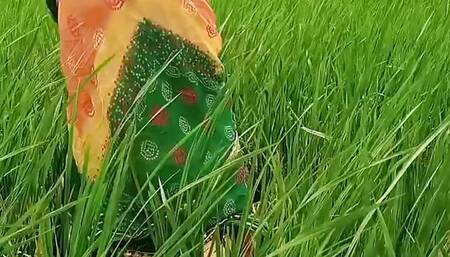 Indian Girls And Desi Lover made A Fuck sex Hinde Audio