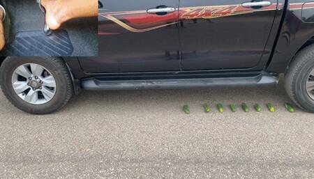 Fruit CRUSH And TIRE SPINNING Fun