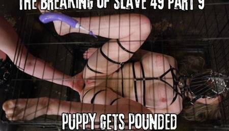 VIVIENNE L'AMOUR - THE BREAKING OF SLAVE 49 PART 9 - PUPPY GETS POUNDED (1080P HD)
