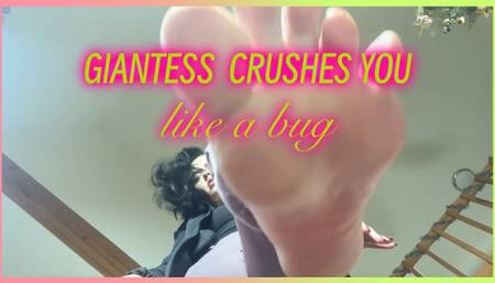 Giantess crushes you like a bug