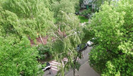 Amateur Teen Cutie Sucking a Cock From Older Man