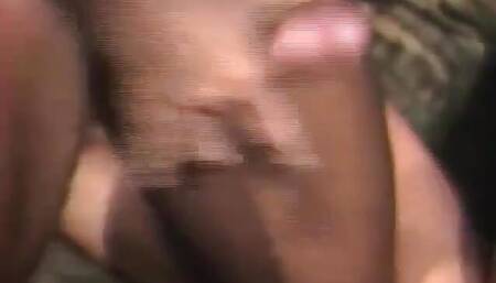 DVD The Howard Stern show parody